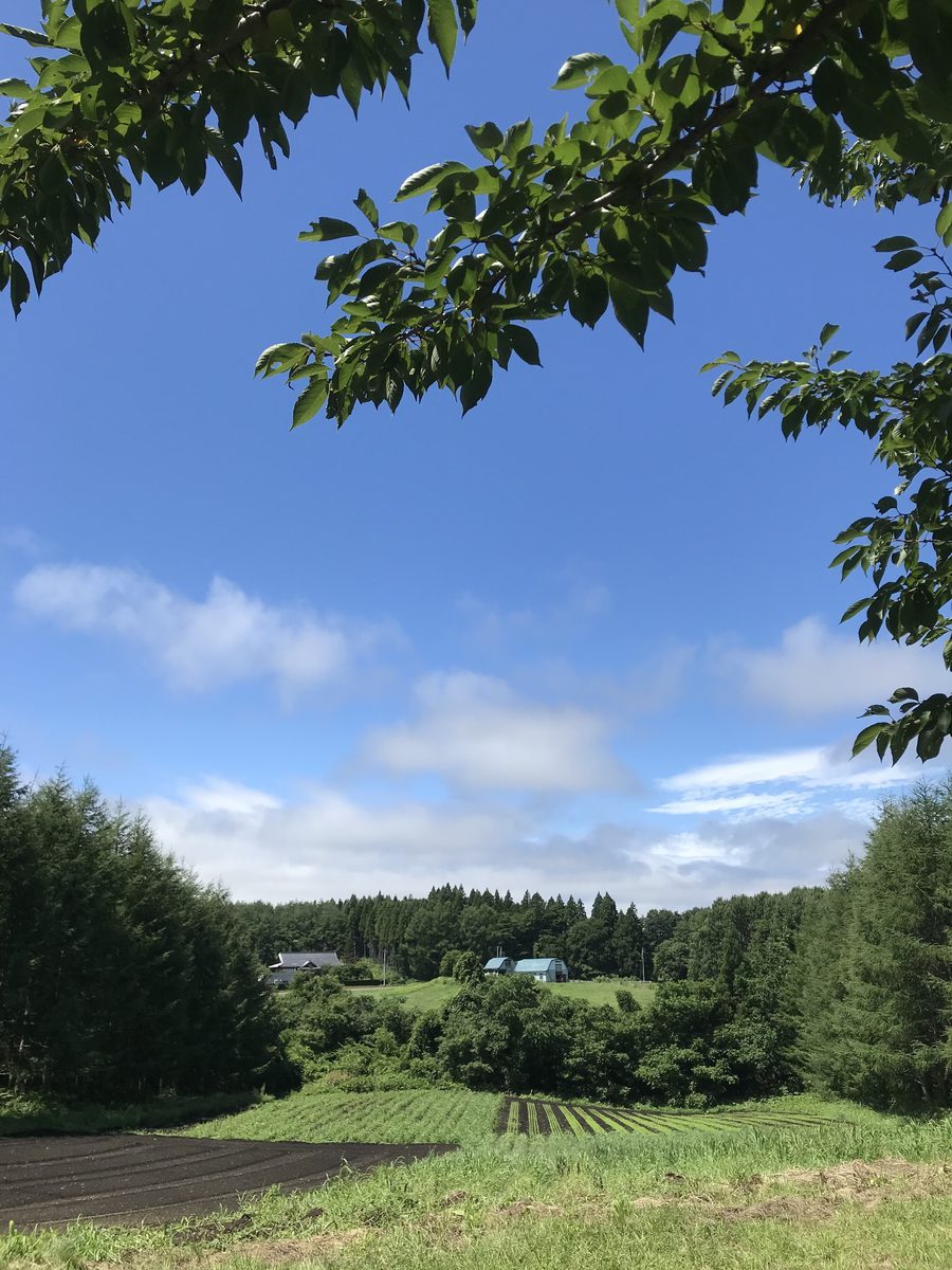 南郷地区の畑と空